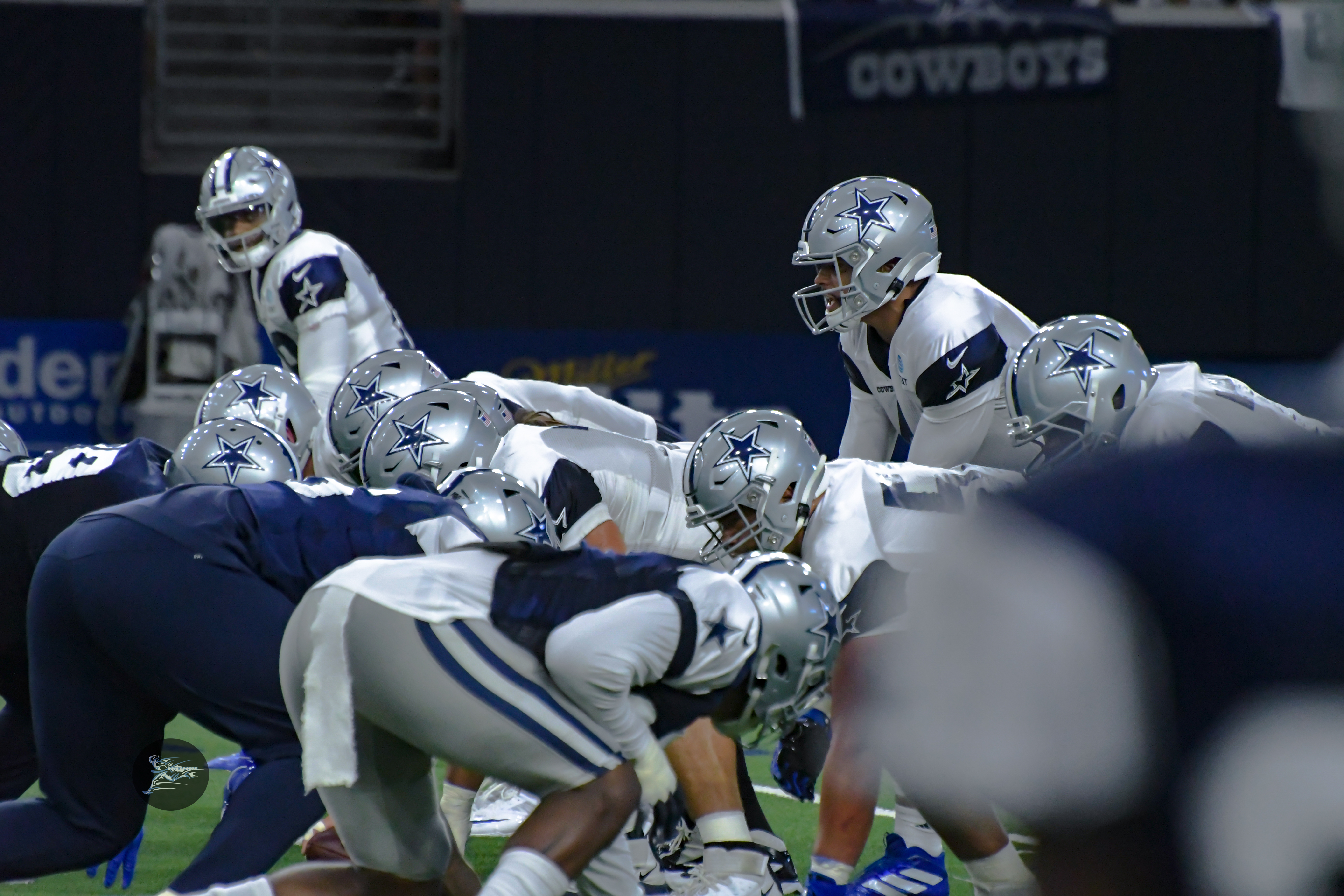 Cowboys Named To Pro Bowl - D210SPORTS